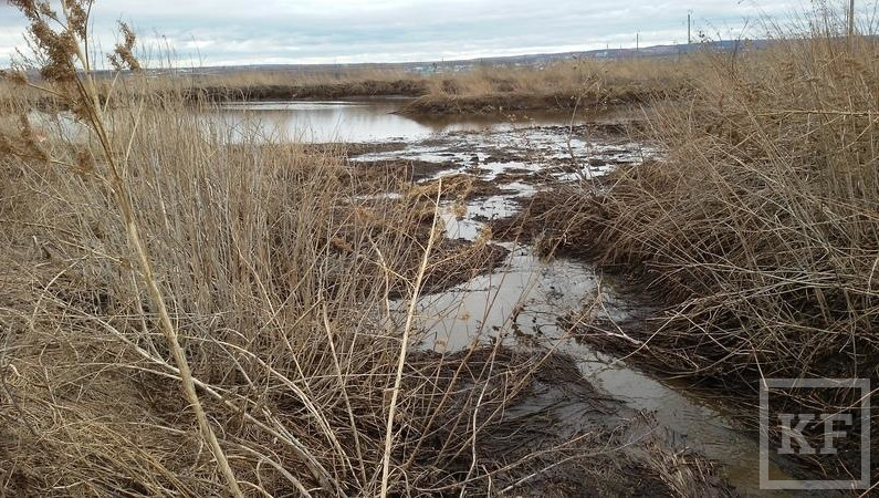 Альметьевскую компанию признали виновной в загрязнении реки